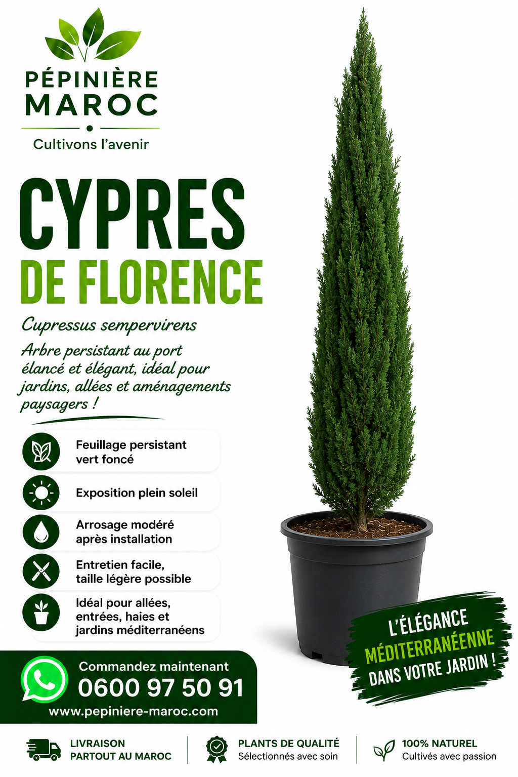 cypres